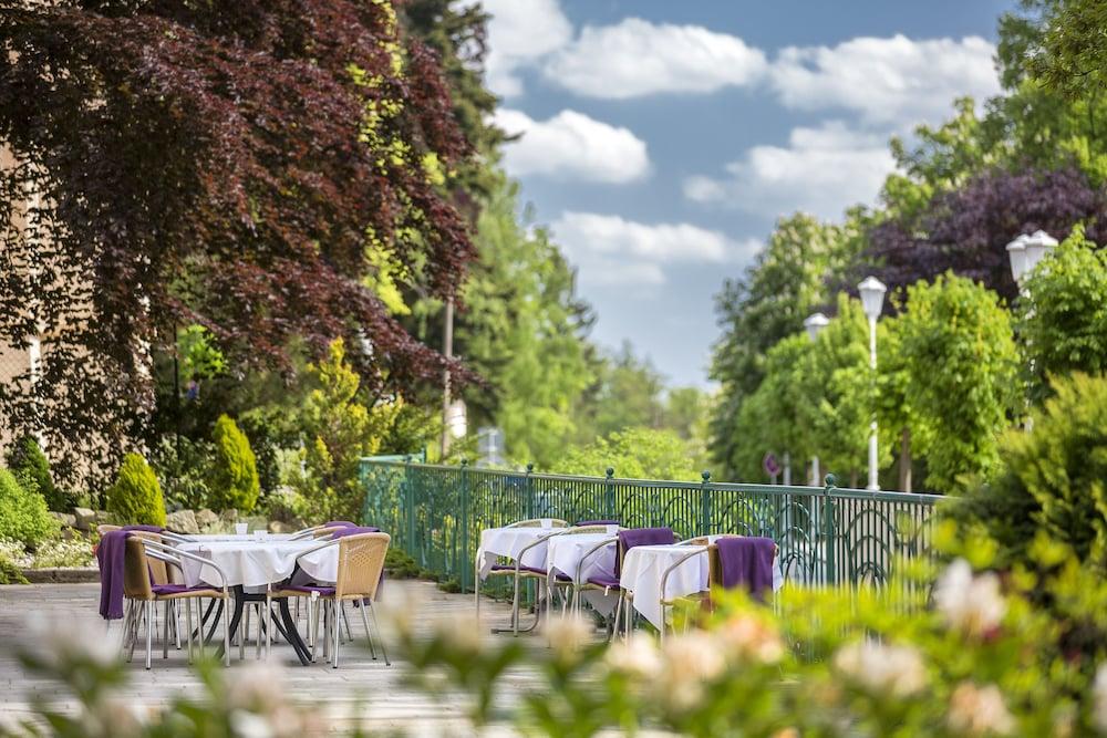 Villa Regent Spa & Wellness Mariánské Lázně Dış mekan fotoğraf