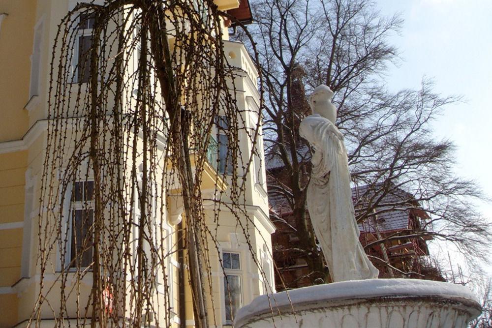 Villa Regent Spa & Wellness Mariánské Lázně Dış mekan fotoğraf