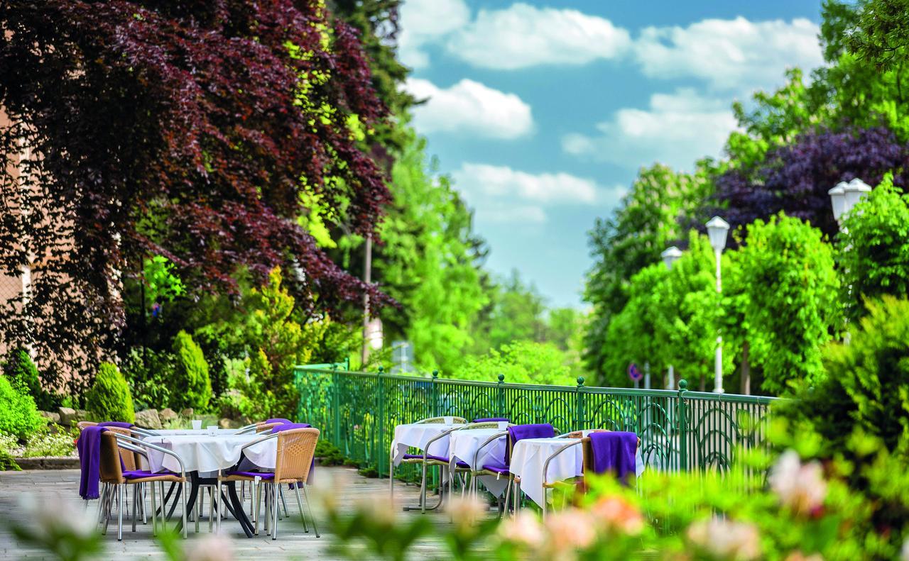 Villa Regent Spa & Wellness Mariánské Lázně Dış mekan fotoğraf